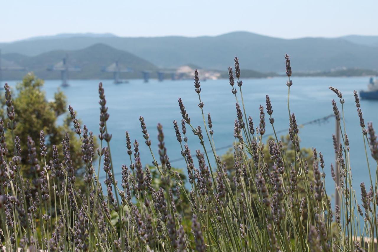 Bella Vista Daire Komarna Dış mekan fotoğraf